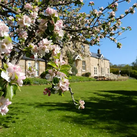 住宿加早餐酒店 Broom House At Bridge